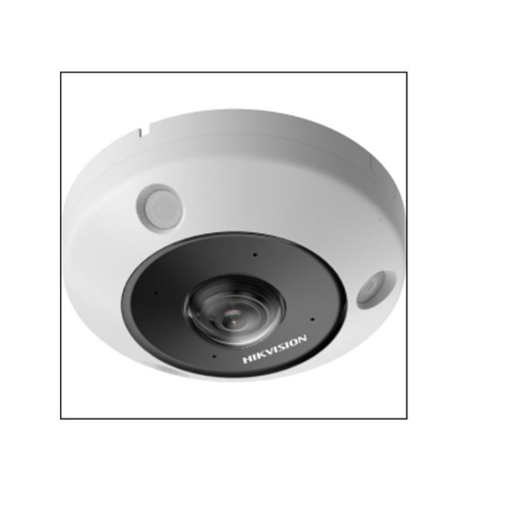 DS-2CD6365FV2HC-IVS.jpg