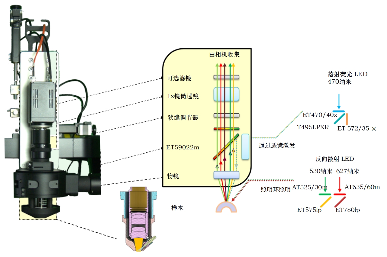 脑介观8.png