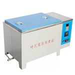 ZFX-10A自控砖瓦泛霜养护箱