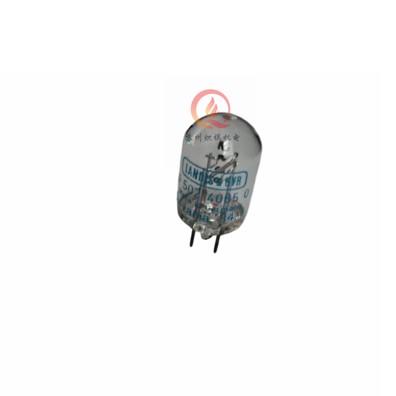 4502406.jpg