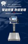 工厂车间配方系统定量称重精准识别小料整原料