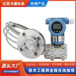 LD-3051DP型双法兰液位计厂家