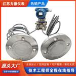 LD-3051DP型双法兰液位计厂家