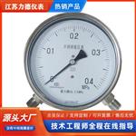 CYW-152B不锈钢差压表出厂价