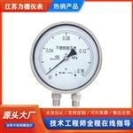 CYW-152B不锈钢差压表出厂价