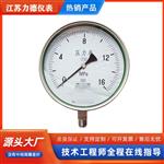 精密数字压力表YBS系列 150T