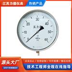 精密数字压力表YBS系列 150T