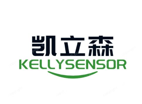 四川凯立森仪表制造有限公司