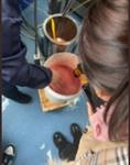 牛跟腱胶原蛋白提取高速胶体磨