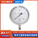 精密数字压力表YBS系列 150T
