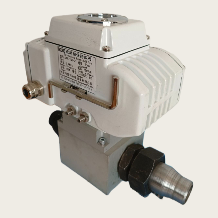 ZBF22QS2503.jpg