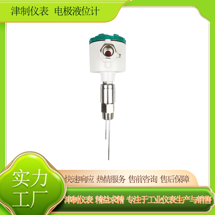 电极液位计 (2).jpg