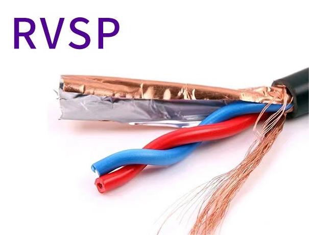 RVSP.jpg