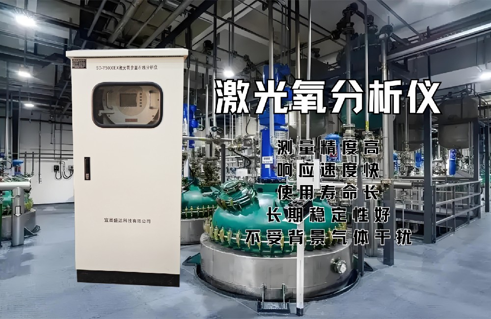 激光氧分析仪反应釜_副本.jpg