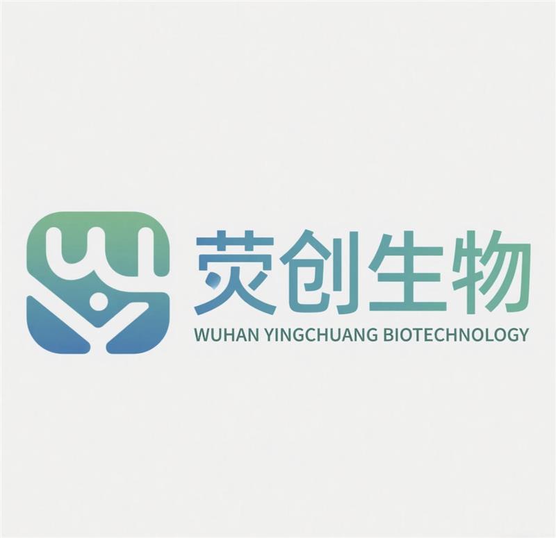 武汉荧创生物技术有限公司