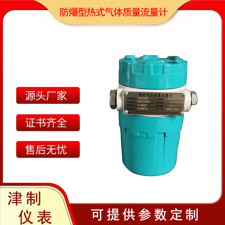 防爆型热式气体质量流量计.jpg