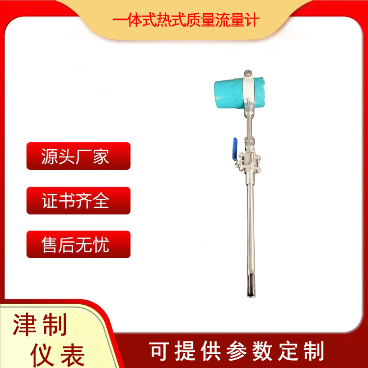 一体式热式质量流量计.jpg
