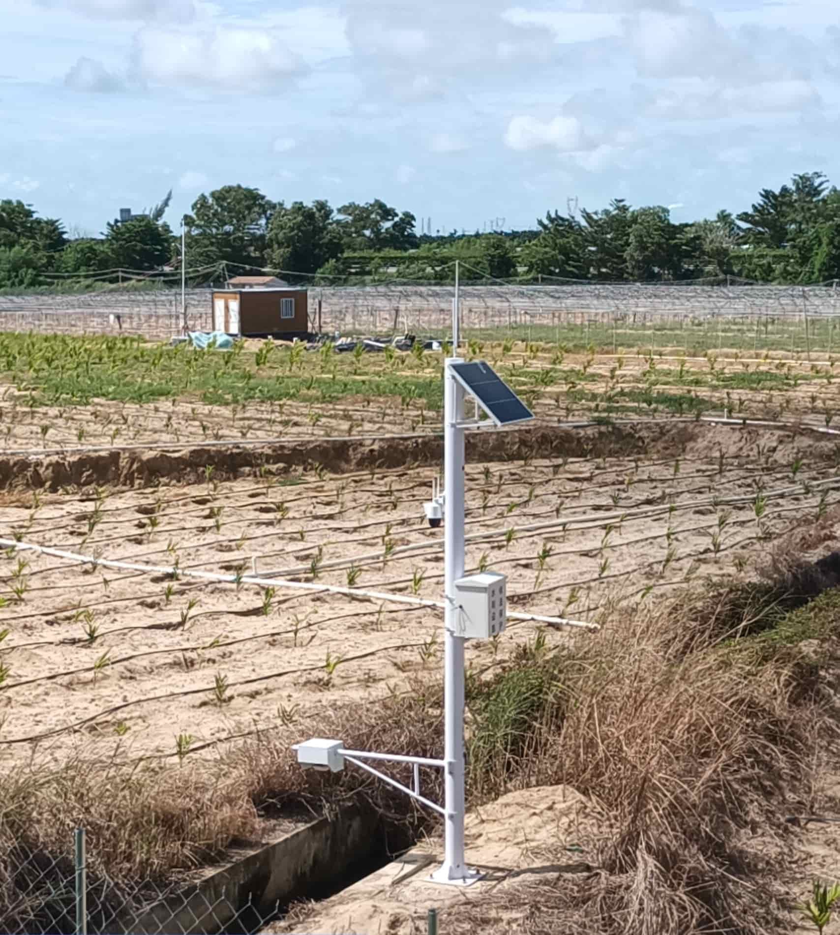 IMG_20250914_101347749.jpg IMG_20250914_101347749.jpg