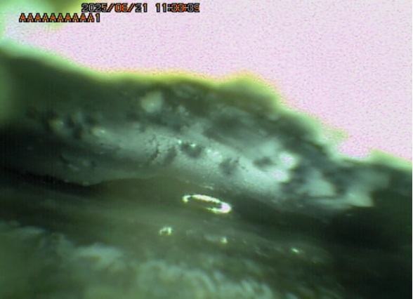 德朗科技工业内窥镜 德朗科技工业内窥镜