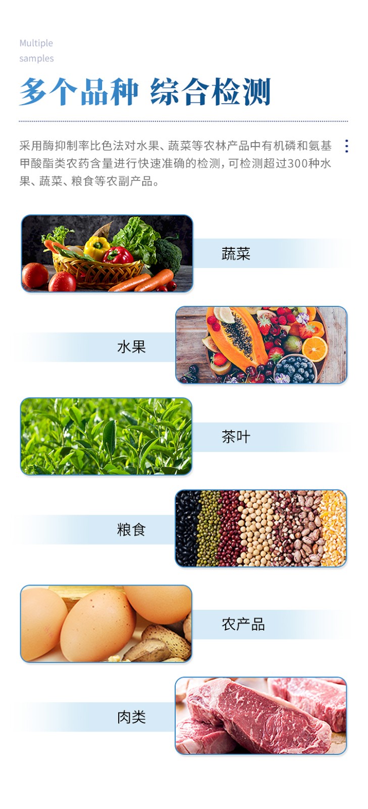 农药残留物检测仪 农药残留物检测仪