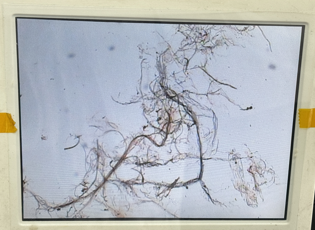 78e9a424aaf3c9c2a0b142a86cfb09a2.png 78e9a424aaf3c9c2a0b142a86cfb09a2.png