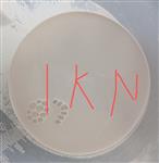 化合物類納米混懸液均質分散機