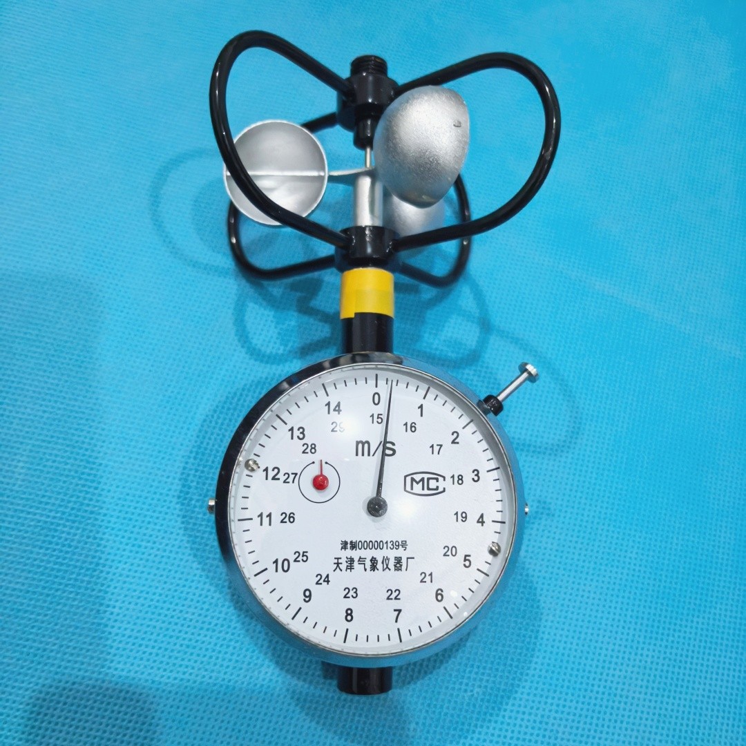 DEM6風(fēng)速表 (5)_副本_副本.jpg