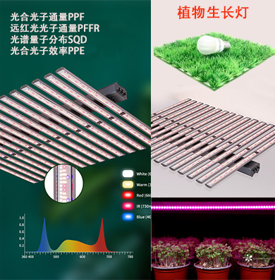 1、植物照明灯具的光谱及光合光子通量测量.jpg 1、植物照明灯具的光谱及光合光子通量测量.jpg