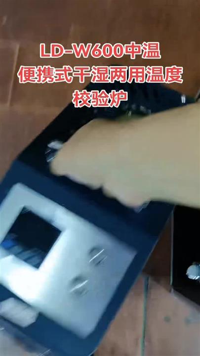 LD-W600便携式温度校验炉全英文界面